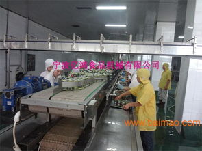 億鴻食品機(jī)械 以卓越品質(zhì)與智能技術(shù)，引領(lǐng)魚(yú)罐頭瀝水機(jī)新標(biāo)準(zhǔn)